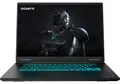 GAMING A16 CVHI3DE894SH (schwarz, Intel® Core? i7-13620H, NVIDIA GeForce RTX 5060, 16 GB DDR5, 1 TB (1 TB SSD), Windows 11 Home)