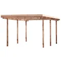 Carport, BxHxT: 304 x 235 x 510 cm, Lärche - natur