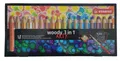 Stabilo Woody 3 in 1 ARTY Farbstift, Wachsmalkreide & Aquarellfarbe 18 Stifte