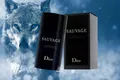 Dior SAUVAGE Deo Stick 75 ml Deodorant  NEU & OVP