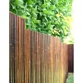 Bambuszaun Sichtschutz aus Bambus - Rollzaun ATY NIGRA (Höhe x Breite) - 180 cm x 180 cm-Zaun, Zaunelement, Bambuselement