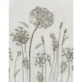 SCHÖNER WOHNEN KOLLEKTION Vliestapete, Pusteblume, greige - beige