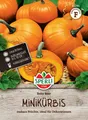 Minikürbis 'Baby Bear' - Cucurbita pepo, Kürbis, essbar & dekorativ, Samen 81291