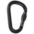 AustriAlpin - HMS Rondo Alu Schrauber - HMS-Karabiner Gr One Size grau