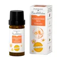Murnauers Bachblüten Konzentrier Dich Globulini | 10g | Achtsamkeit und Inspiration| Hergestellt mit Original Bachblüten