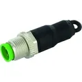Murrelektronik 7000-14041-0000000 Sensor-/Aktor-Steckverbinder, unkonfektioniert M12 x 1 Buchse, gerade Polzahl Sensoren: 4 1St.