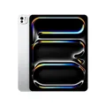 Ipad Pro 13 Wf Cl 256Gb Std Slv NEU