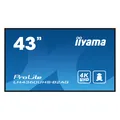 iiyama ProLite LH4360UHS-B2AG (3840 x 2160 Pixel, 42.50") (GB2795HSU-B1)