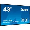 iiyama ProLite LH4360UHS-B2A UHD-Display, schwarz, 108,0 cm (43,0 Zoll)
