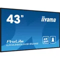 iiyama LH4360UHS-B2AG, Public Display, 108 cm (42,5 Zoll), UHD, schwarz (matt)