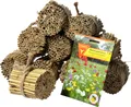 dobar Schilfrohrhalme-Set 1000 Stk., Füllmaterial für Insektenhotels, Nisthöhlen für Wildbienen, 9 cm lang
