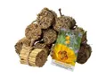 dobar green label Schilfrohrhalme-Set plus Samenmischung "Bienenschmaus"