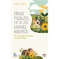 Bäume pflanzen die in den Himmel wachsen von Dörte Heyn / SCM Brockhaus R. / Taschenbuch