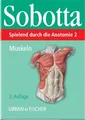 Spielend durch die Anatomie, Lernkarten, Tl.2, Muskeln, 153 Lernkarten