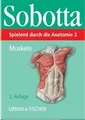 Spielend durch die Anatomie, Lernkarten, Tl.2, Muskeln, ... | Buch | Zustand gut