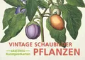 Postkarten-Set Vintage-Schaubilder Pflanzen Anaconda Verlag