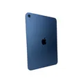 Apple iPad A16. Gen (2025) 11 Zoll WiFi 256 GB Blau