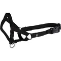 Trixie Top Trainer Ausbildungsgeschirr S (22 cm)