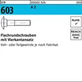 100er PACK(Stk)  000603920040080025 Flachrundschraube DIN 603 m.Vierkantansatz M