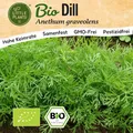 Dill Samen (BIO) - 500 Samen Kräutersamen Dillsamen