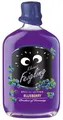 Behn Kleiner Feigling Blueberry 15% Vol. 0,5 l Liter Likör