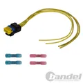 REPARATUR-SATZ KABELBAUM KRAFTSTOFFPUMPE passend für RENAULT SCENIC 2 CITROEN C4