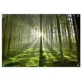 artissimo Garten-Poster, Grün, Kunststoff, Baum/Pflanze/Natur, Rechteckig, 90x60x2 cm, Bilder und Zubehör, Wandbilder, Sonstige Wandbilder