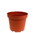 Pöppelmann GmbH & Co. KG Blumentopf Pflanztopf Kunststoff für Blumen und Kräuter, 10 Stück