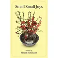 Small Small Joys von Shubh Schiesser / Amazon Digital Services LLC - Kdp / Taschenbuch