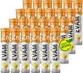 EVÄM Zink plus Vitamin C Brausetabletten Geschmack Zitrone 24x 20 Stück Nahrungsergänzungsmittel zur Unterstützung des Immunsystems zuckerfrei Hergestellt in DE