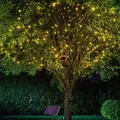 Esotec Solar Lichterkette Mit 200 Warmweißen Leds Wetterfest 102570