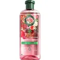 Herbal Essence Rosas Weichheitsshampoo Herbal Essences 350 ml