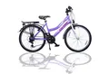 Talson Kinderfahrrad 24 Zoll Cityrad, 21 Gang Shimano, Kettenschaltung, mit Beleuchtung nach StVZO und Gepäckträger Lila