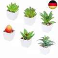 Künstliche Sukkulenten mit Topf, 6 Stücke Realistische Topf Sukkulenten Mini G