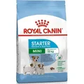 Royal Canin Mini Starter Mother & Babydog 8kg