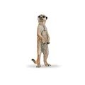 Papo - Realistische Erdmännchen stehend-Figur - 3 Jahre + - Kollektion Wilde Tiere - Lernspiel Savannentiere - Geschenkidee Spielzeug für Mädchen und Jungen