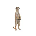Papo Spielfigur Erdmännchen stehend Actionfigur Spielfigur
