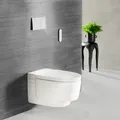 Dusch-WC Geberit AquaClean Taharet Hygiene-WC Mera Comfort Bidet Funktion