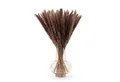 Kunstpflanze getrocknet - Trockenblumen, Ideales Dekoelement Pampasgras, Blumtal, Höhe 58 cm, 30, 50 oder 100 Stück