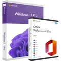 Microsoft Office 2021 Professional Plus & Windows 11 Professional (Sparpaket)