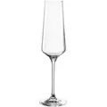 6er-Set Leonardo Sektglas Puccini 280 ml Glas Transparent Klar
