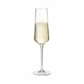 Leonardo Puccini Sektglas, Sekt Schaumweinglas, Teqton, Stielglas, Glas, 220 ml