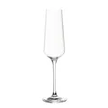 Leonardo - Sektglas PUCCINI - Schaumweinglas 280 ml - Sektkelch