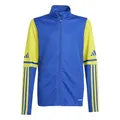 adidas Unisex Kinder Squadra25 Training Kids Sweatshirt, Team royal Blue/Team Yellow, 5-6 Years
