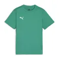 Puma Unisex Teamgoal Trikot Jr T-Shirt, Sport Green-Puma White-Power Green, 152 EU