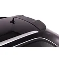 RDX Racedesign Dachspoiler kompatibel mit Audi A6 Avant 2005-2011 (PUR-IHS), Schwarz