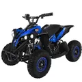 Actionbikes Motors Kinder Quad Elektro ATV Reneblade | 𝟒𝟖 Volt 𝟭𝟬𝟬𝟬 Watt Motor bis 𝟐𝟓 km/h - Kinderquad - Pocket Quad - Miniquad - Safety Fußschalter - Für Kinder ab 6 Jahren (Schwarz/Blau)