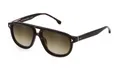 Lozza SL4330 0722 AVANA SCURA LUCIDA 55/18/145 Herren Sonnenbrillen