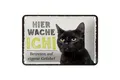 Blechschild Spruch 18x12 cm Katze hier wache ich eigene Gefahr Schild