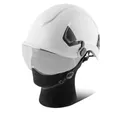STAHLWERK SVH-100 ST Schutzhelm mit Visier EN397 EN166 Forsthelm | Sicherheitshelm | Kopfschutz | Bauhelm | Arbeitshelm mit Augenschutz | Schutzbrille | PSA für Agrar- und Baugewerbe